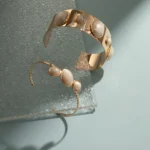 Conjunto De Bracelete Com Pedras Resinadas Ovais