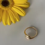 Anel Duplo Gota M Dourado